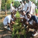 Indian_Navy_-_World_Environment_Day_-_2016_(1)